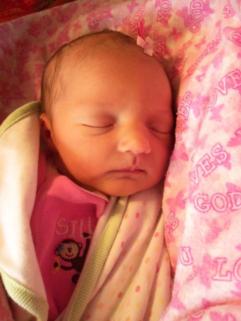 72494_100_2886.jpg