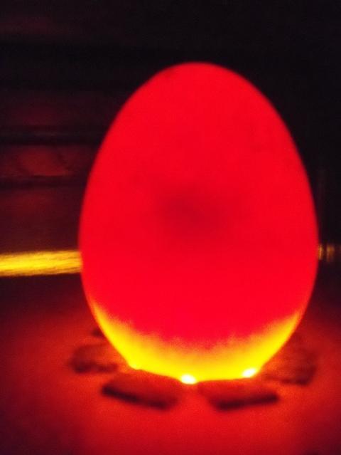 72494_100_2896.jpg