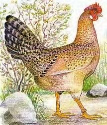 72682_lysjarone.jpg