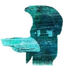72709_pipus.jpg