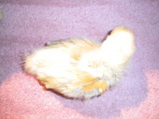 72765_dscn2901.jpg