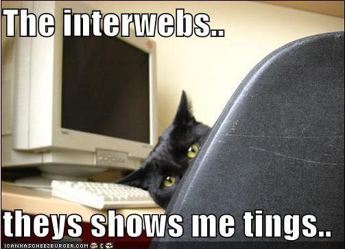 72823_interwebs.jpg
