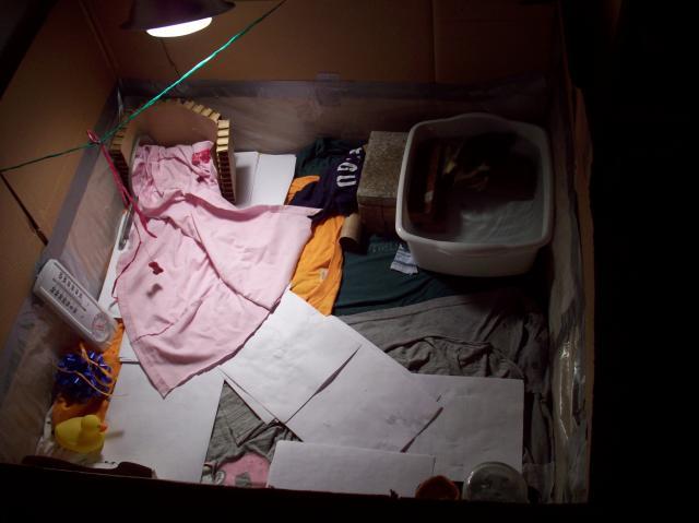 73029_stringbox.jpg