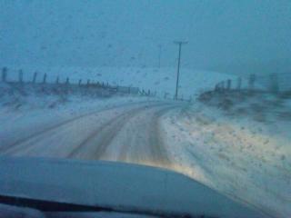 73153_snow4dec2010.jpg