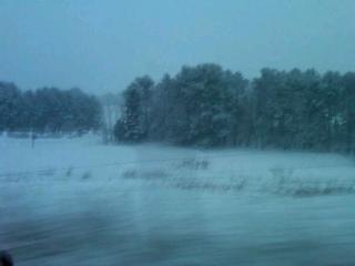 73153_snow6dec2010.jpg