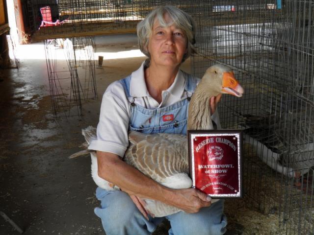73212_lester_sept_2011_reserve_champion_waterfowl_2_800x600.jpg