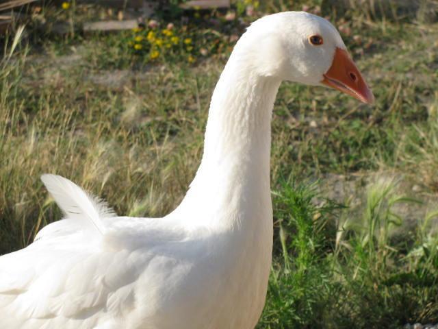 73360_img_0216.jpg