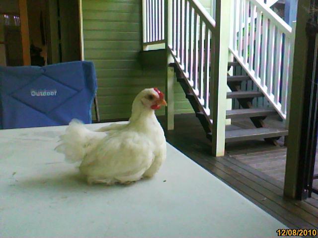 73408_image201012080001.jpg