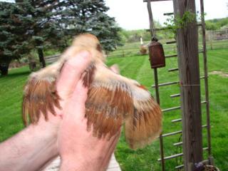 73510_img_7354.jpg