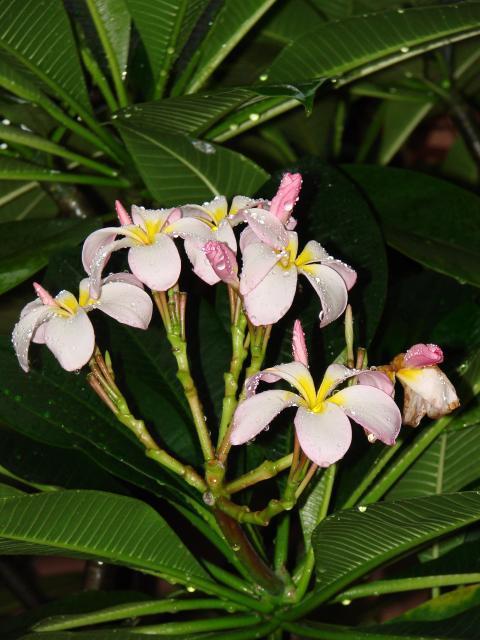 7354_dsc02935.jpg