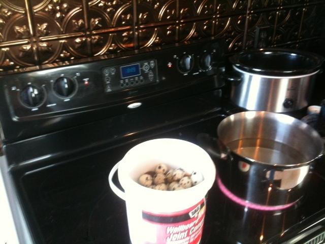 73612_bucket_of_eggs.jpg