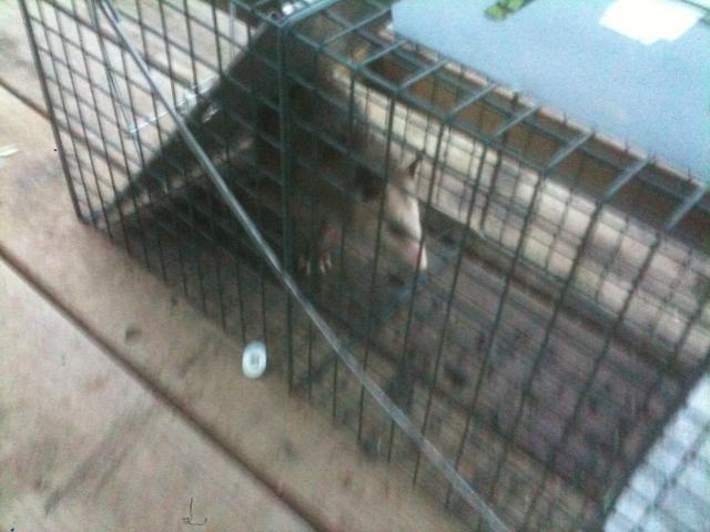 73612_smallest_pred_001.jpg