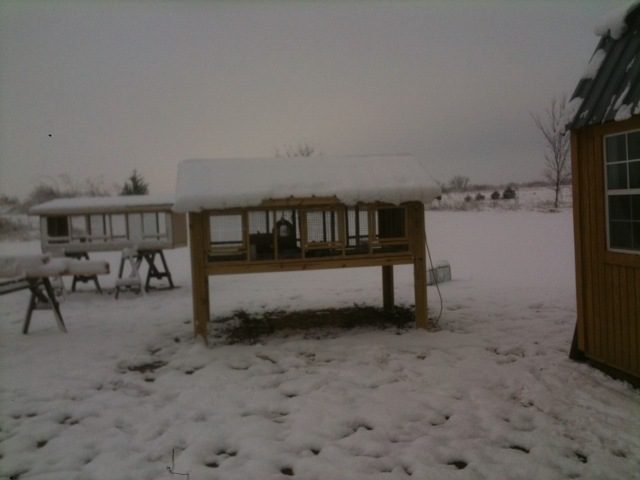 73612_snow_on_bird_house.jpg