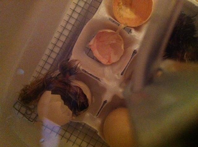 73631_third_hatched.jpg