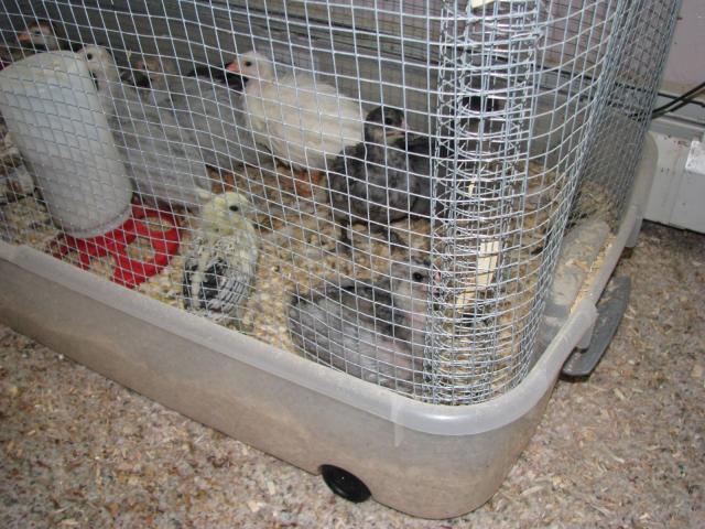 73670_img_0444.jpg