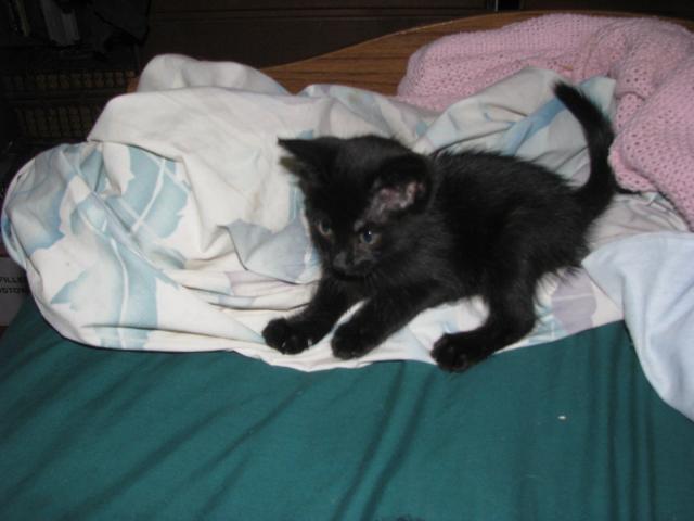 73670_img_0492.jpg