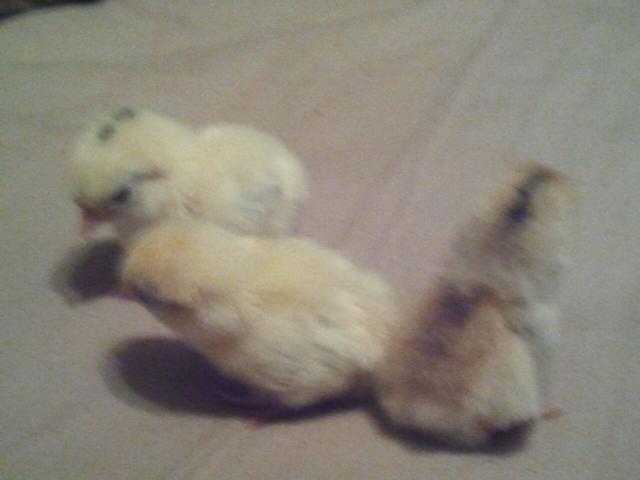 73869_2011-05-02_105057.jpg