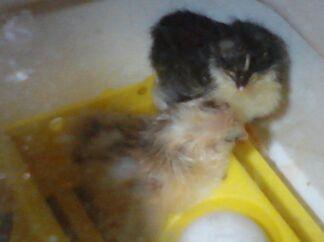 73869_img_20110921_225827.jpg