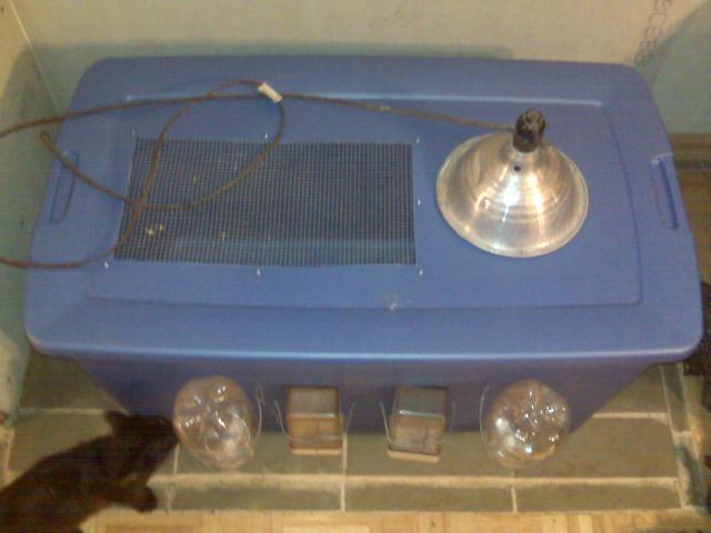 7387_070.jpg
