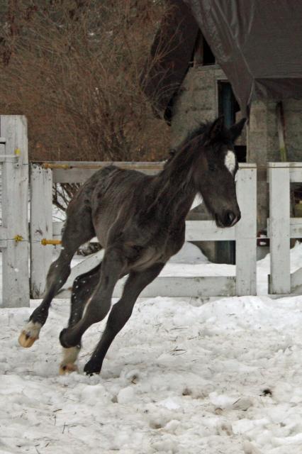 74337_img_0834_lkh_crop.jpg