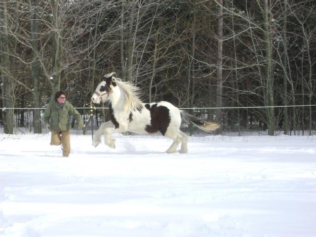 74337_tom_and_axel.jpg