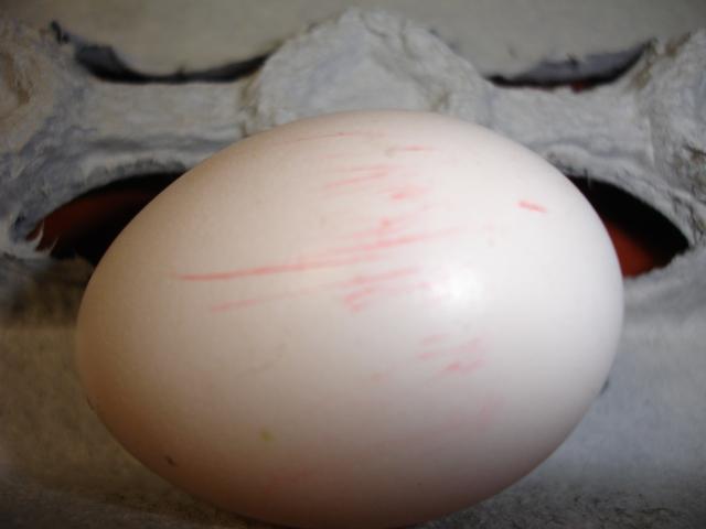 7443_dsc01613.jpg