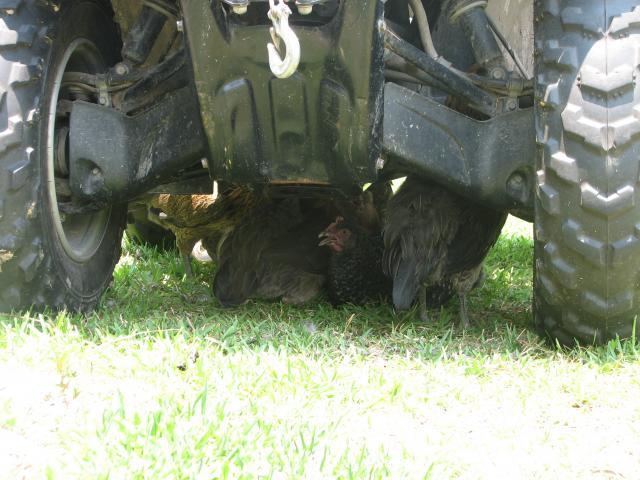 74490_img_4898.jpg