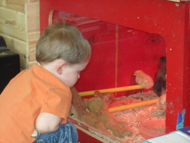 74497_img_0955.jpg