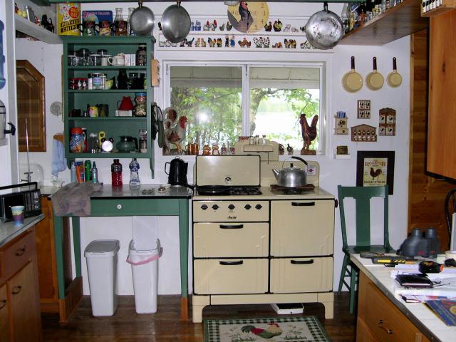 74542_cabinkitchen.jpg