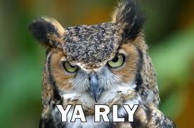 74613_owl.jpg