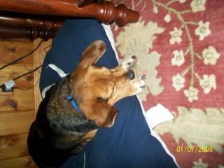 74613_pillow.jpg