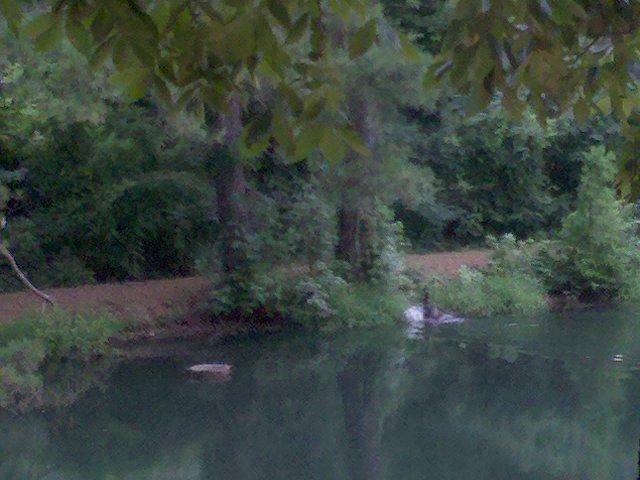 74752_2010-07-11_180232.jpg