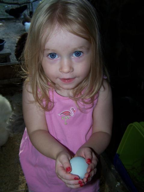 7479_100_6275.jpg