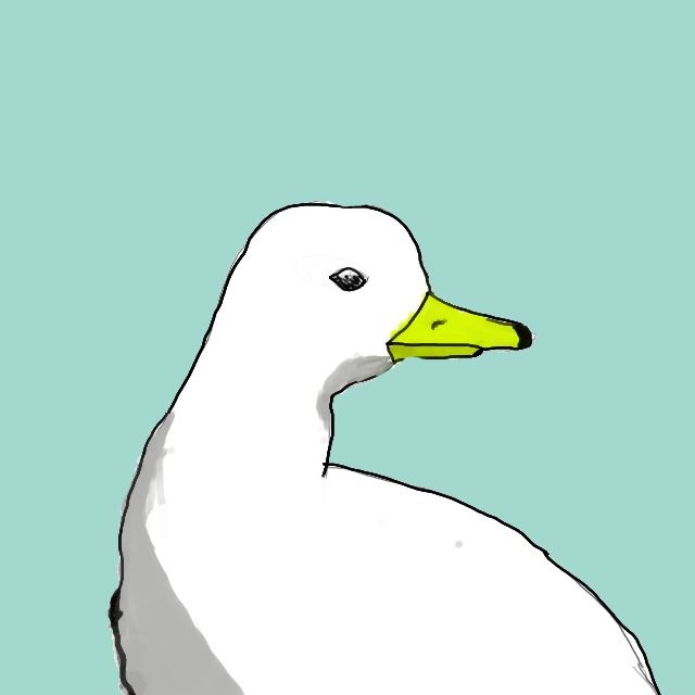 74981_duckbyc.jpg