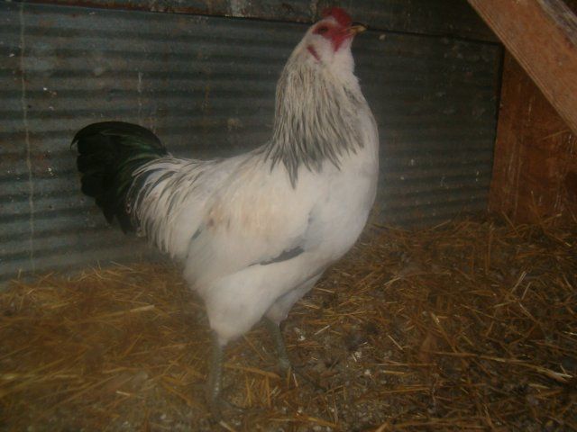 7557_hpim5889.jpg