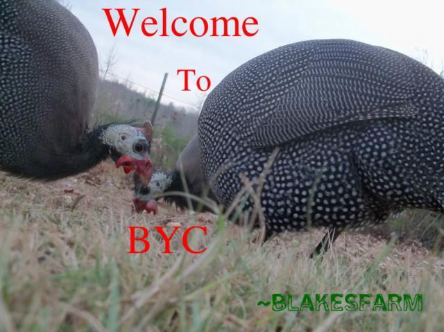 75613_byc_welcome.jpg