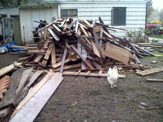 7562_20110407140833.jpg