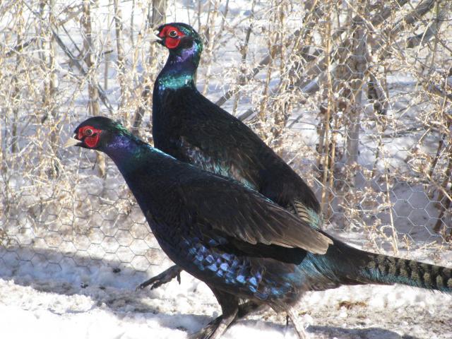 75833_089.jpg