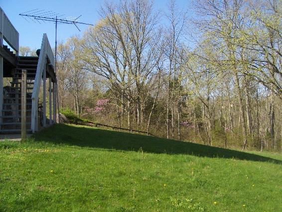 7630_backyard.jpg