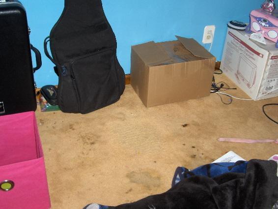 7630_chycarpet.jpg