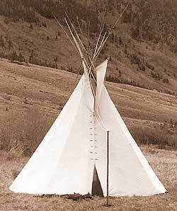 7630_crowtipi.jpg