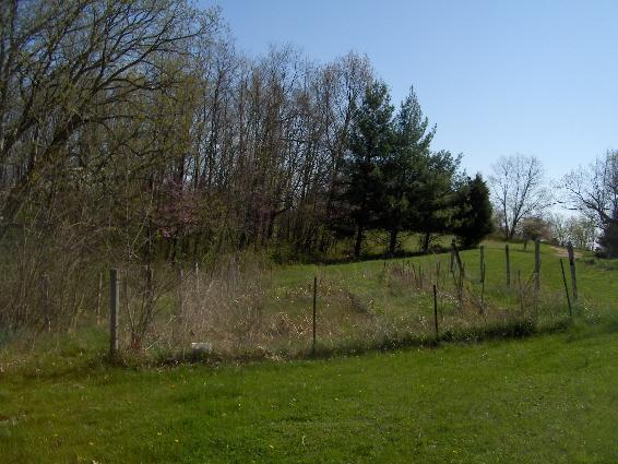 7630_garden2.jpg