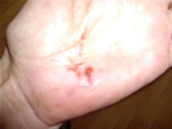 7630_hand.jpg