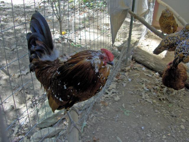 7630_hpim7760_edited.jpg