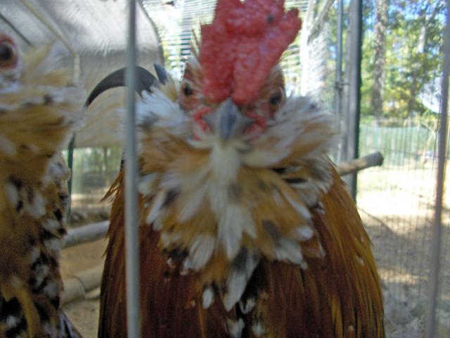 7630_hpim7769_edited.jpg