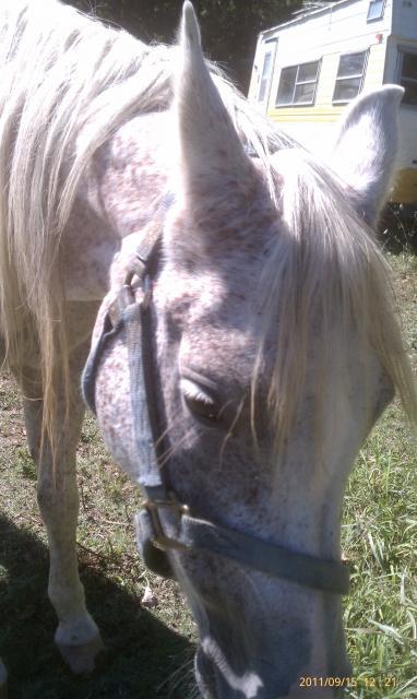 7630_imag0924.jpg