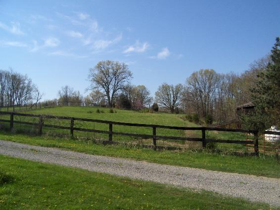 7630_pasture.jpg