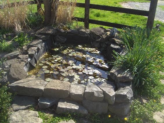 7630_pond.jpg