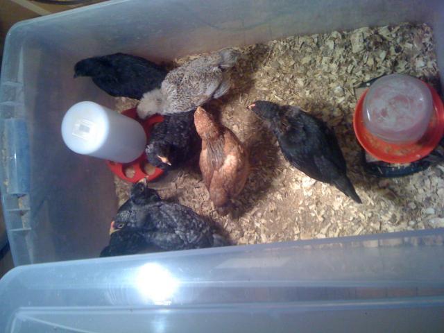 76407_photo.jpg