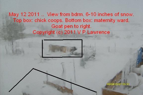 76466_051211snow4.jpg